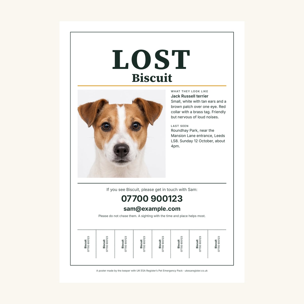 A sample lost-pet poster from the Pet Emergency Pack